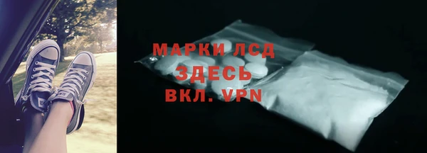 прущие грибы Балахна