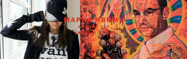 прущие грибы Балахна