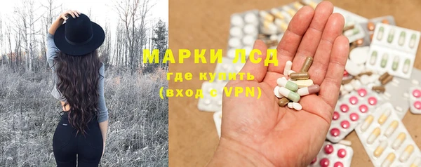 прущие грибы Балахна