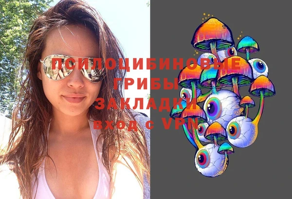 гашик Балабаново