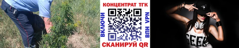 где можно купить наркотик  Тара  ТГК вейп 