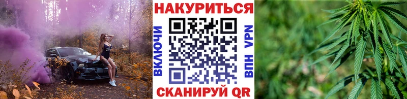 Марихуана сатива  МЕГА ССЫЛКА  Тара 